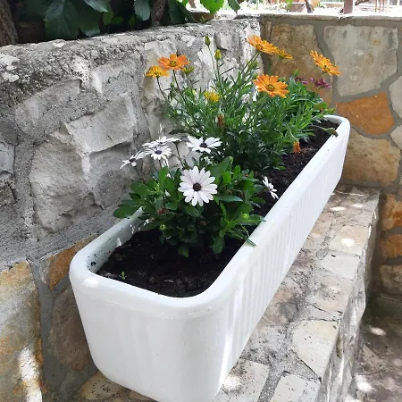 Kovacevic Appartement