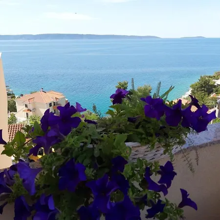 Kovacevic * Trogir