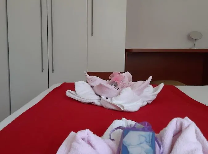 Kovacevic 特罗吉尔