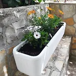 Kovacevic Apartman