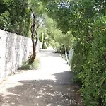 Kovacevic *