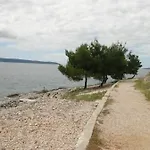 Kovacevic *