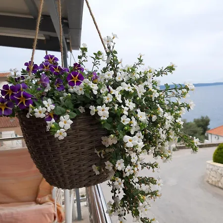 Kovacevic Trogir