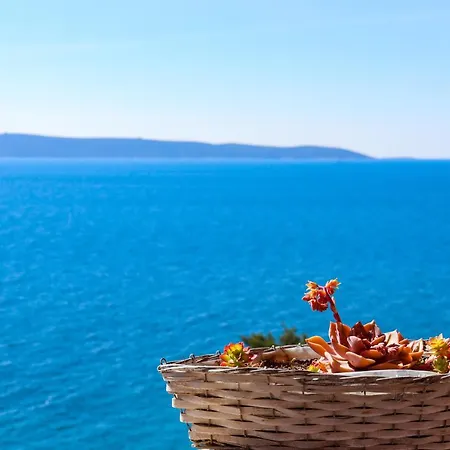 Kovacevic Lägenhet Trogir