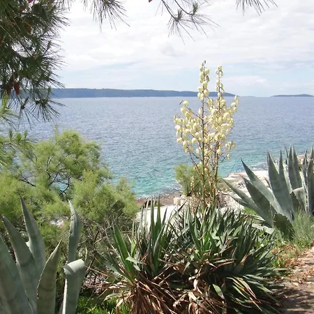 Апартаменты Kovacevic *