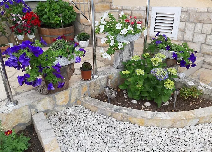 Kovacevic Apartman *