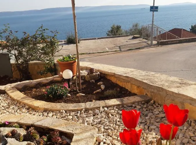 Kovacevic Apartman *